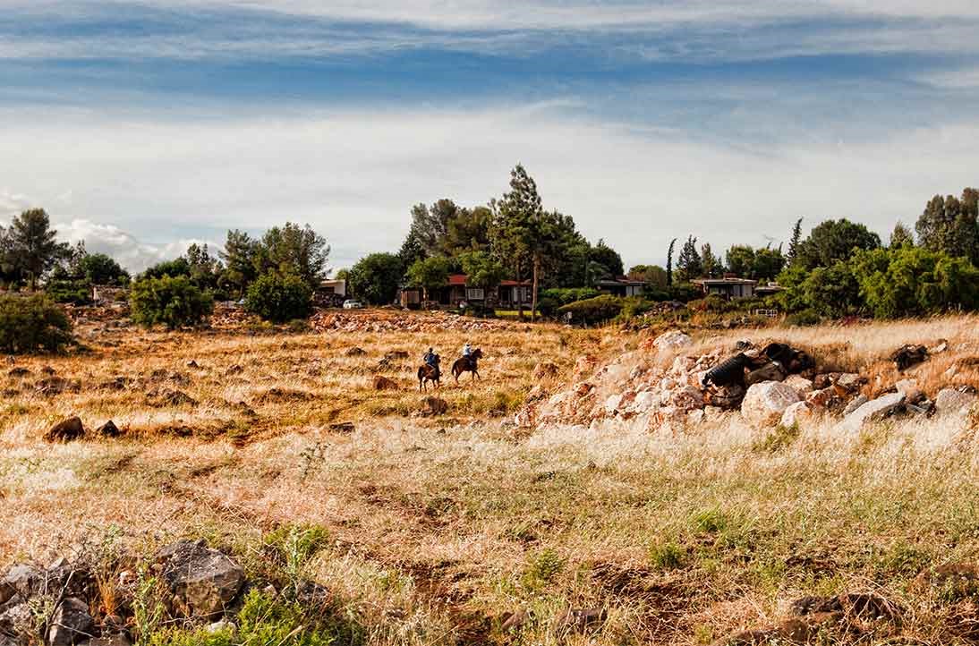 חוות הרכיבה ורד הגליל