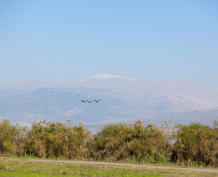 בית אוסישקין