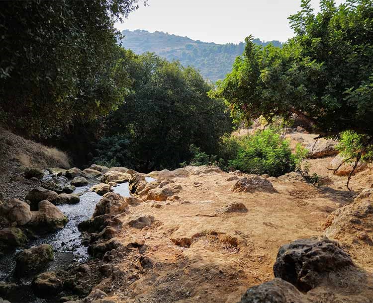 בעקבות מים ומסורת