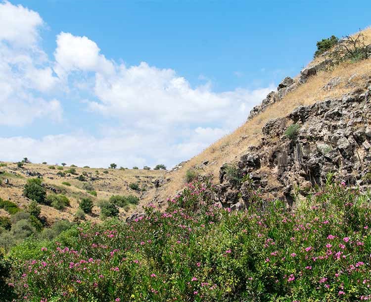 מצודת הונין והרי נפתלי