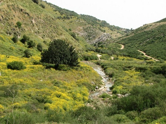 פריחות, בריכות שכשוך וטחנות קמח